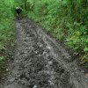 verschiedene wege